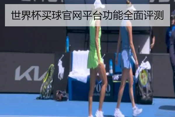 世界杯买球官网平台功能全面评测